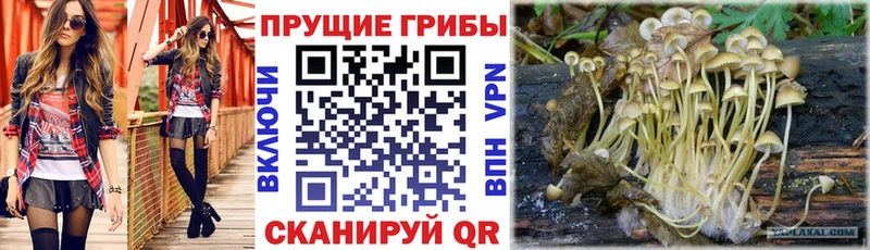 Псилоцибиновые грибы мухоморы  Липки 